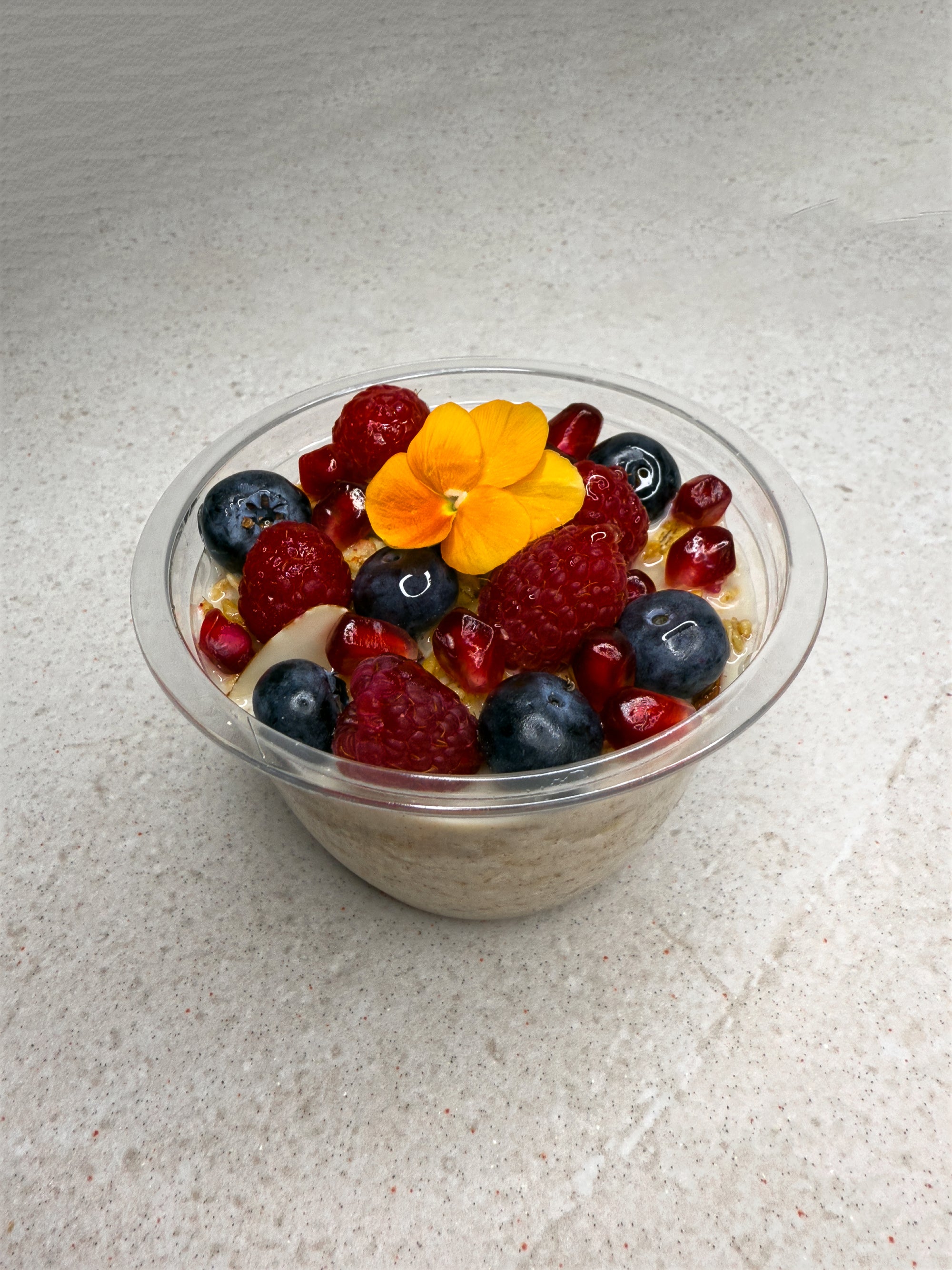 Oat & Berry Pots - 12 Pots